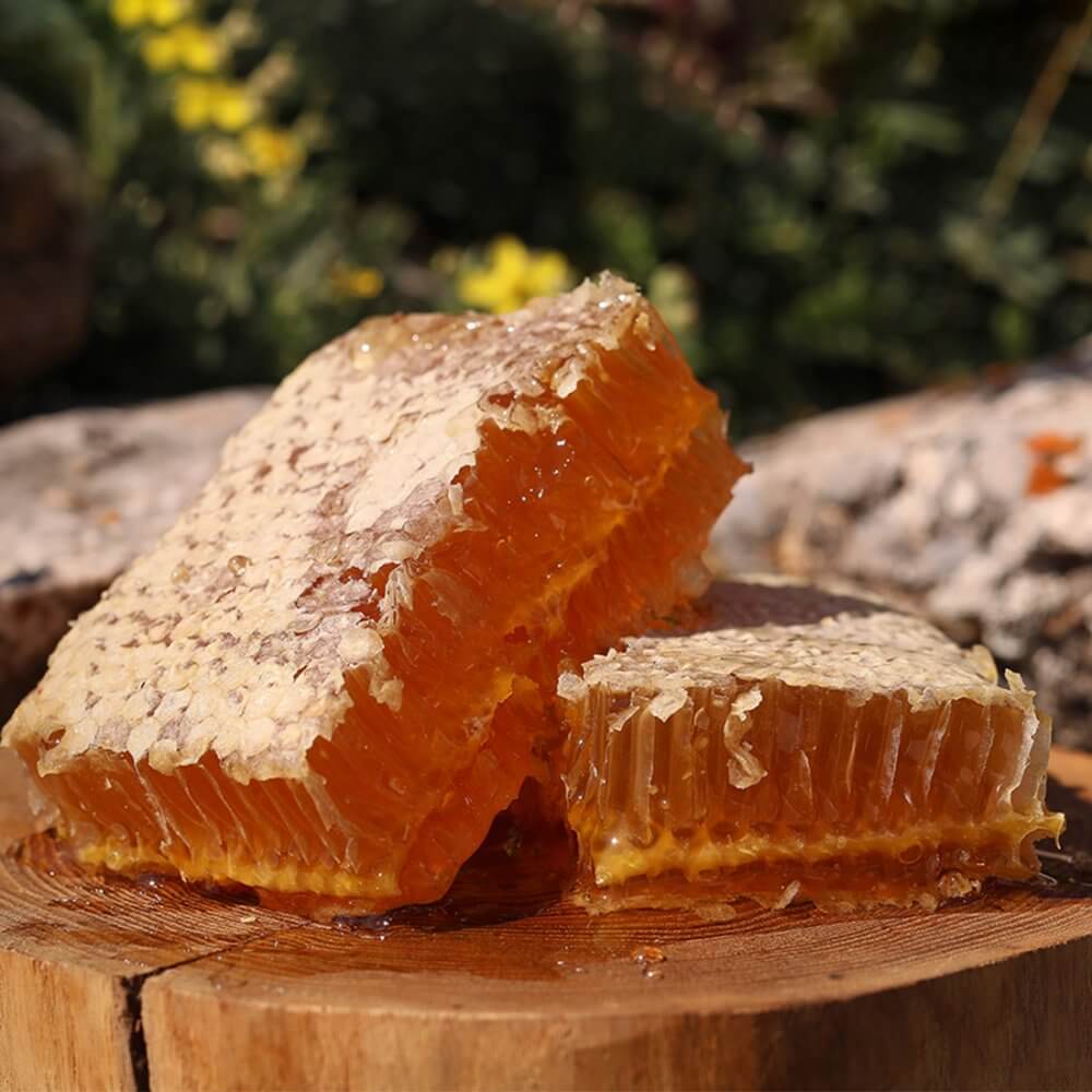 Miel en rayon avec amorce de cire